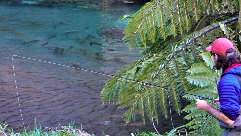 Join local fishing legend Dion for a full on day of trout fishing action in the beautiful waterways of Rotorua!